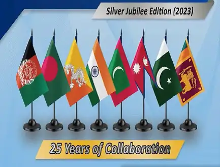 25 years Collaboration Silver Jubilee Edition (2023)
